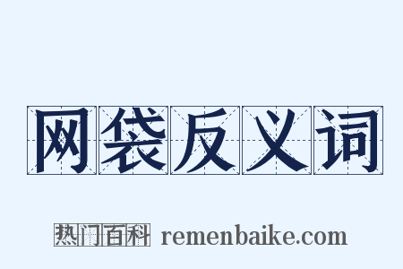 网袋反义词是什么意思的图片
